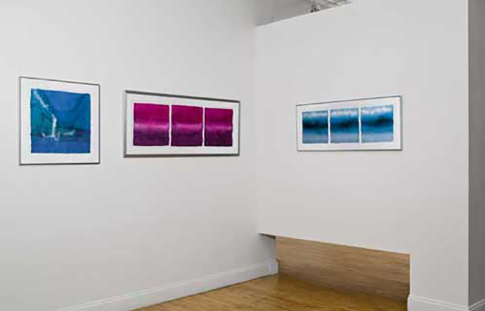 Meera Thompson exhibition at Atlantic Gallery NYC